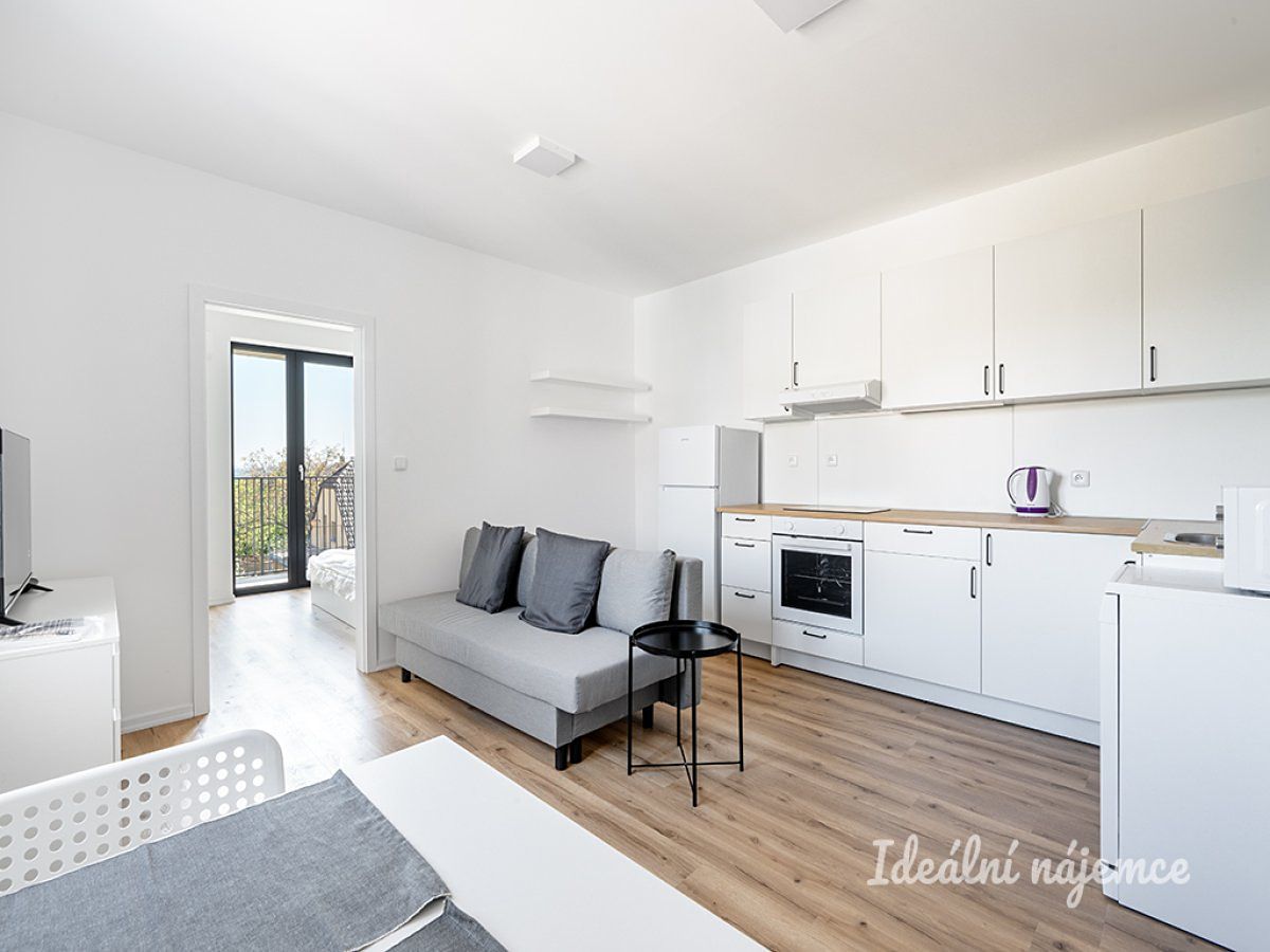 Pronájem bytu 2+kk 42 m²